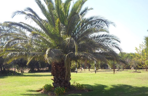 Greater Johannesburg Metropolitan Area House | Serene Pastures Family Room