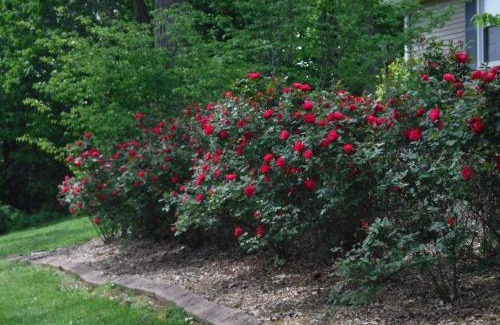 Brownsville Bed & Breakfast | serenity hill