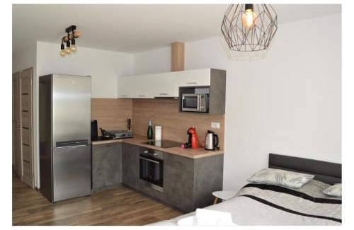 Trencin Apartment | SGL apartments Lavickova