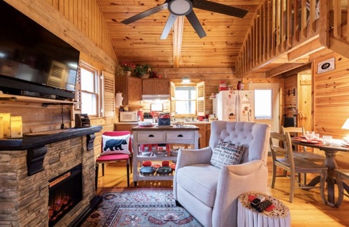 Birdseye Cabin | Shaded Log Cabin Swim Spa- 2 miles Lake Entrance, New Distillery Pet Friendly