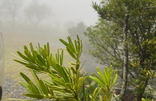 Lugu Bed & Breakfast | Shan Jhong You You B&B