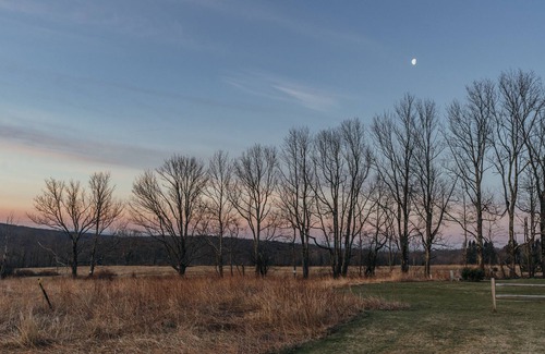 Livingston Manor House | Shandelee Mtn. House - Gorgeous Views & Near Town!