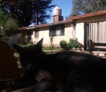 San Esteban House | Shanti