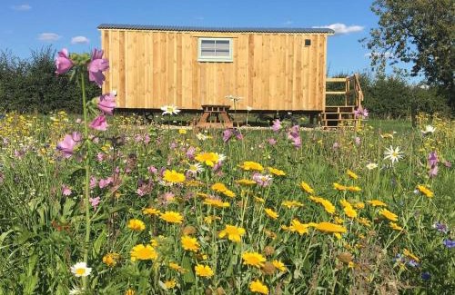 Bedfield House | Shepherds Hut 3