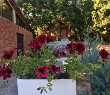 Shkoder County House | Shija e Natyres