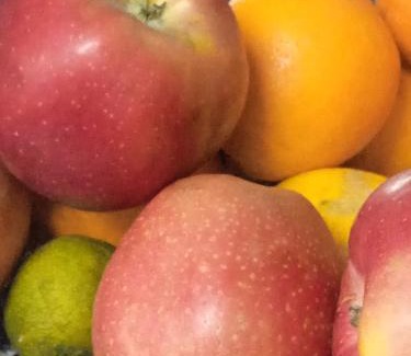 Villalba dels Arcs House | Sidharta Room