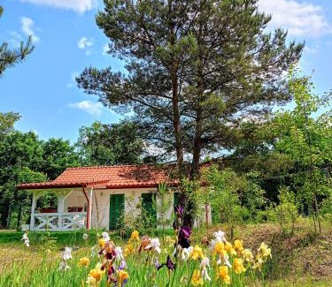 gmina Wilkow House | Siedlisko Panorama na Koncu Swiata - Całoroczny domek