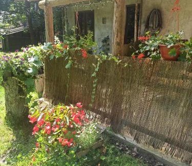 gmina Czeremcha House | Siedlisko Urszulanka/Gajki