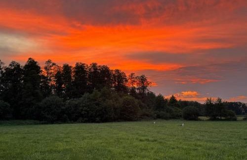 Jezewo Stare Villa | Siedlisko Waniewo 64