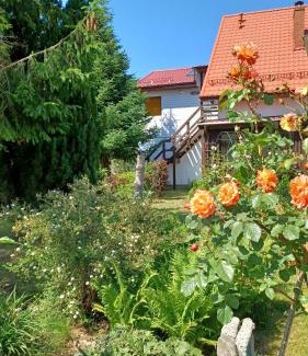 Choczewo Cabin | Siedlisko Wiejskie