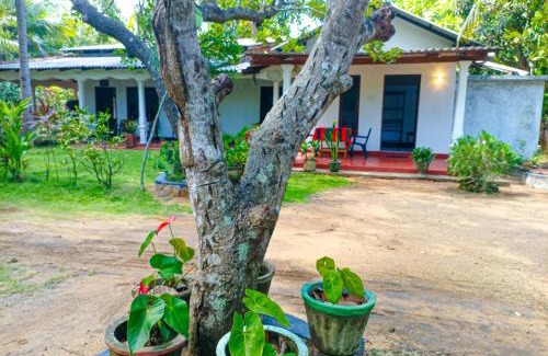 Sigiriya House | Sigiriya Moon Mirage Villa