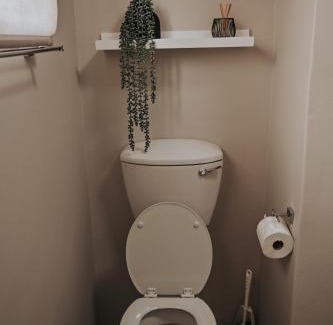 Langenhoven Park Apartment | Silver Orchid