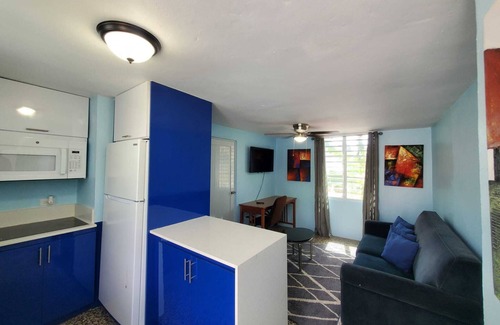 San Juan Apartment | Simple & Comfy 1BR- Walk to Beach-Ferry & Dining UNIT 6