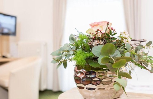 Bad Bergzabern House | Single room COMFORT - Hotel Palatinate Forest