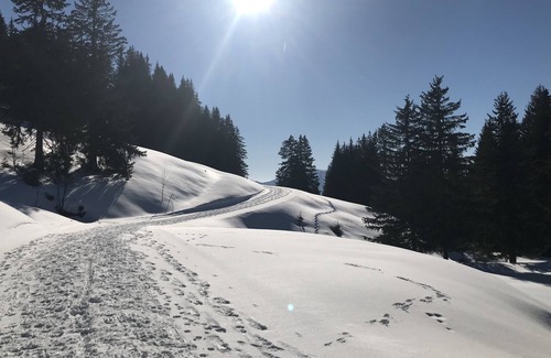 Le Biot Apartment | Ski apartment sleeps 4