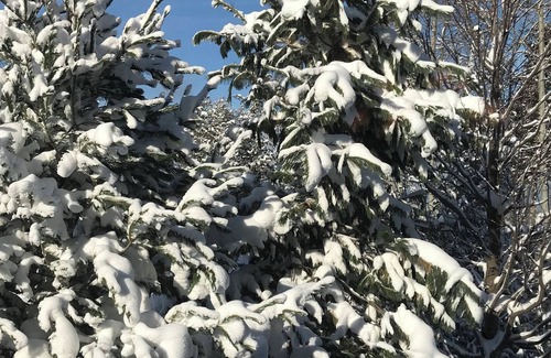 Steamboat Springs Villa | Ski in/ Ski out. Sleeps 6 easily, up to 10. All amenities: kitchen, washer/dryer
