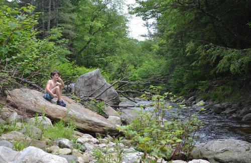 Wardsboro House | Ski Mt. Snow, Stratton in Minutes