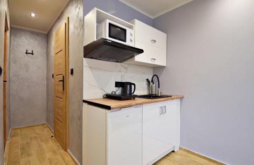Rakowiec Apartment | Skorochód Majewskiego 15 studio A