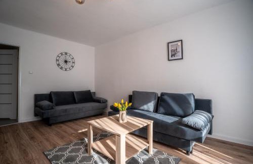 Brzezinka Apartment | SKY Apartment 1