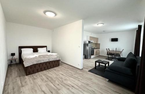 Plzen Apartment | Sky Apartments 509