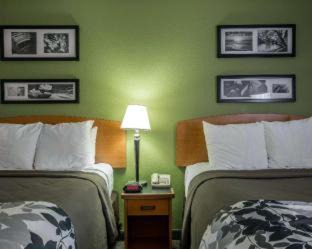 Gatlinburg Hotel | Sleep Inn & Suites near Sports World Blvd