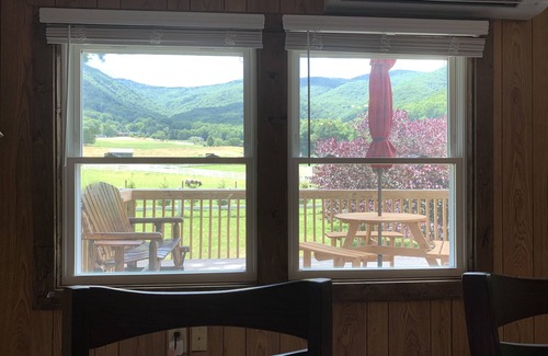 Waynesville Apartment | Sleeps 6 - Mountain Views! Enjoy watching Alpacas & Mini Horses from your deck!