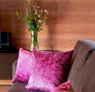 Bramberg am Wildkogel Apartment | Smaragdresort