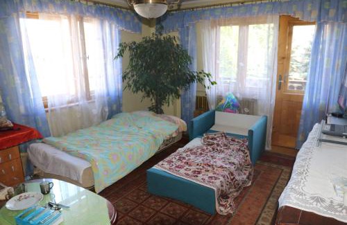 Brzegi House | Smyrecek-centrum Bukowiny