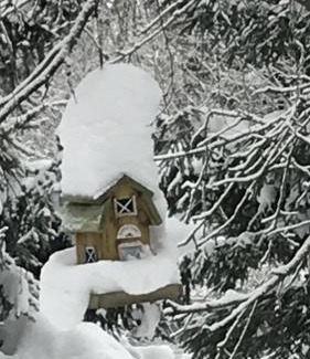 Dolni Morava House | Sněženka