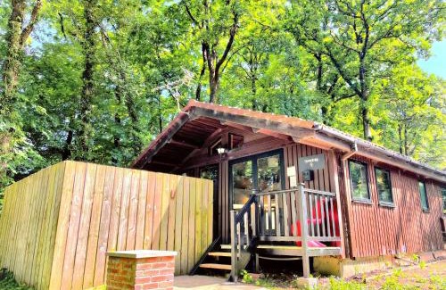 Llanybri Ski Chalet | Snowdrop 9 Hot Tub-Woodlandlodges-Pembrokeshire