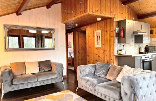 Llanybri Ski Chalet | Snowdrop 9 Hot Tub-Woodlandlodges-Pembrokeshire