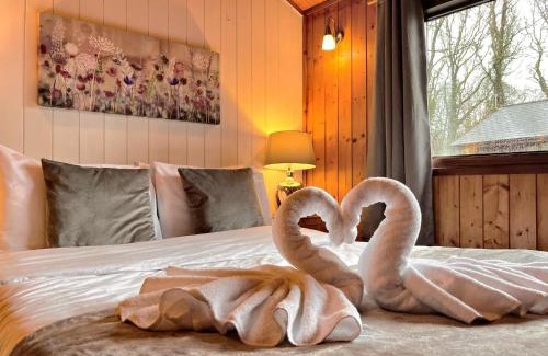 Llanybri Ski Chalet | Snowdrop 9 Hot Tub-Woodlandlodges-Pembrokeshire
