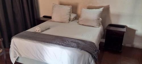 Greater Tubatse Bed & Breakfast | Snowy Owl