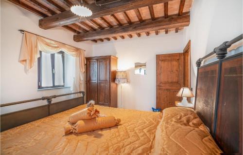 Apecchio House | Socagril Verde Ss