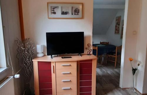 Wildemann Apartment | Sonniges Dachgeschoss-Refugium, Wildemann