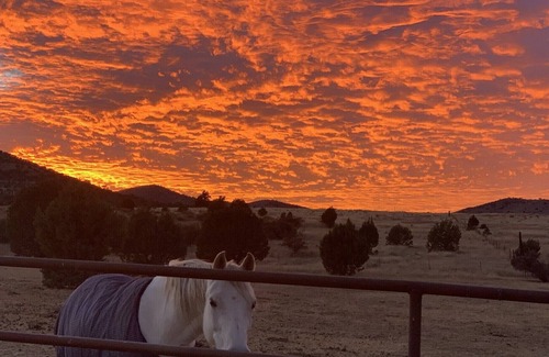 Elgin House | Sonoita, Elgin, Patagonia Wine Country Hideaway in Historic Southern Arizona