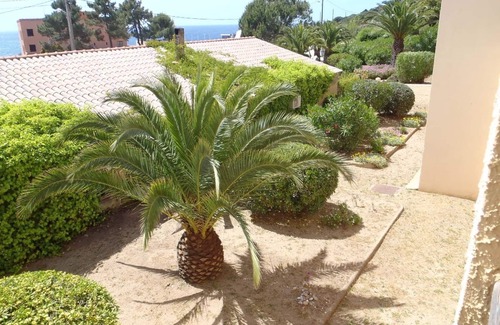 Calcatoggio Apartment | South Corsica Rental 2-4 persons