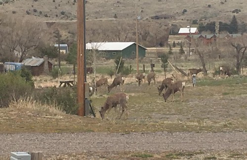 South Fork Cabin | South Fork Lodge & RV Park Colorado