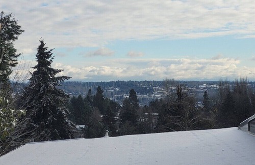 Bryn Mawr-Skyway Apartment | South Seattle Super Suite Retreat
