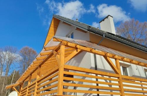 Lutowiska House | Sowinka