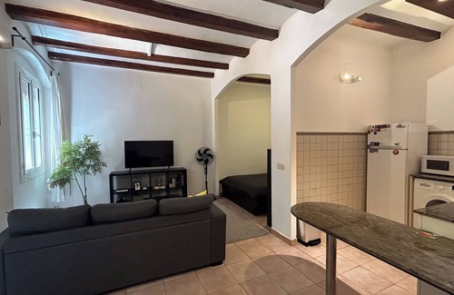 El Raval House | Spacious 1850 Raval 46m Loft. Ideal for Couples and Digital Nomads. Pet-Friendly