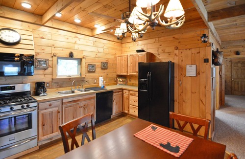 Inlet Cabin | Spacious 2br w/custom Adirondack craftsmanship