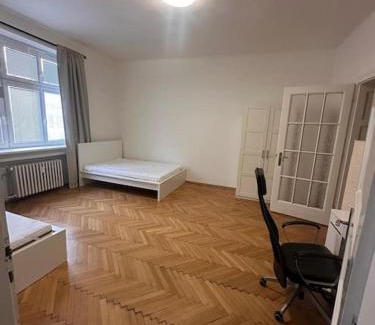 Ostrava City Centre Apartment | Spacious Apartment Ostrava centrum
