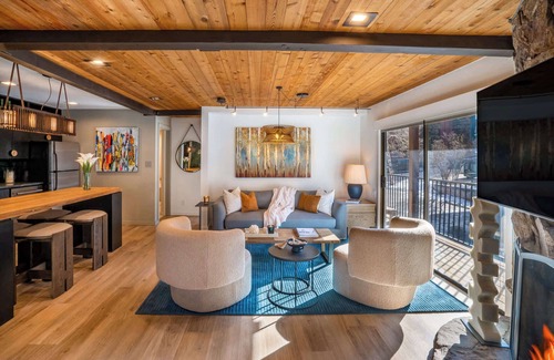 Downtown Apartment | Spacious Aspen 1BR 2 Blocks to Gondola with AC!