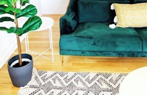 Belmont House | Spacious city home near everything with large yard