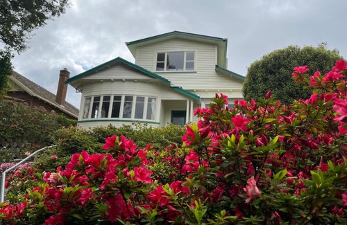 Dunedin House | Spacious comfortable character House -Maori Hill