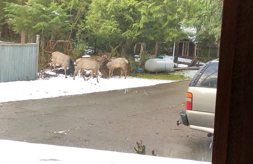 Greenwater House | Spacious Greenwater Crystal Mountain, Mount Rainier Adventure BaseCamp w/Hot tub