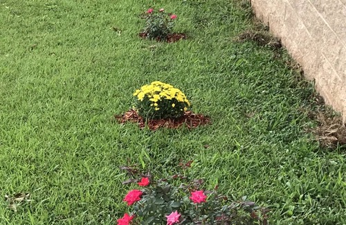 Shannon House | Spacious newly renovated, w/air 3 bedroom home on corner lot- park 2 cars