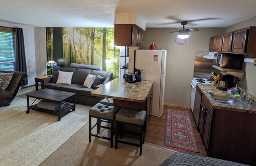 Snowshoe Condo | SPACIOUS Studio Sleeps 4, 3 min Walk 2 Slopes, Bike-friendly Window AC in summer