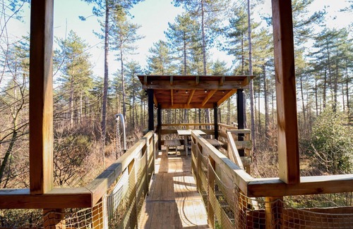 Maaseik House | Spend the night in a real tree house with elements to discover!